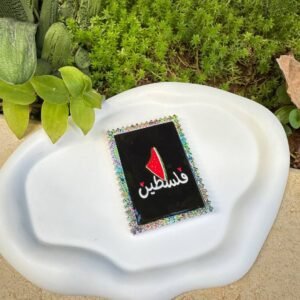 مغناطيس رمز البطيخ